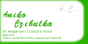 aniko czibulka business card